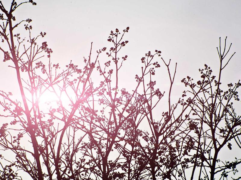 sudoku tricks screenshot 4